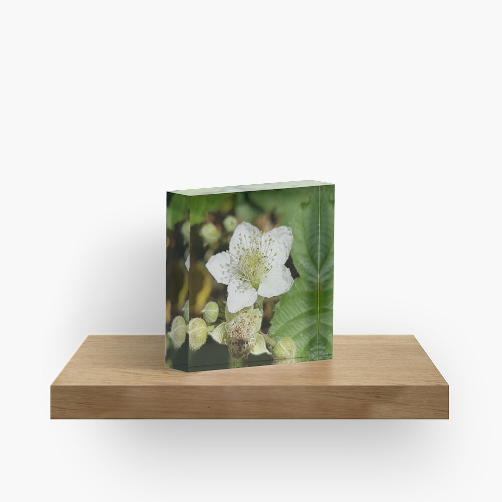 Bramble Blossom Acrylic Block