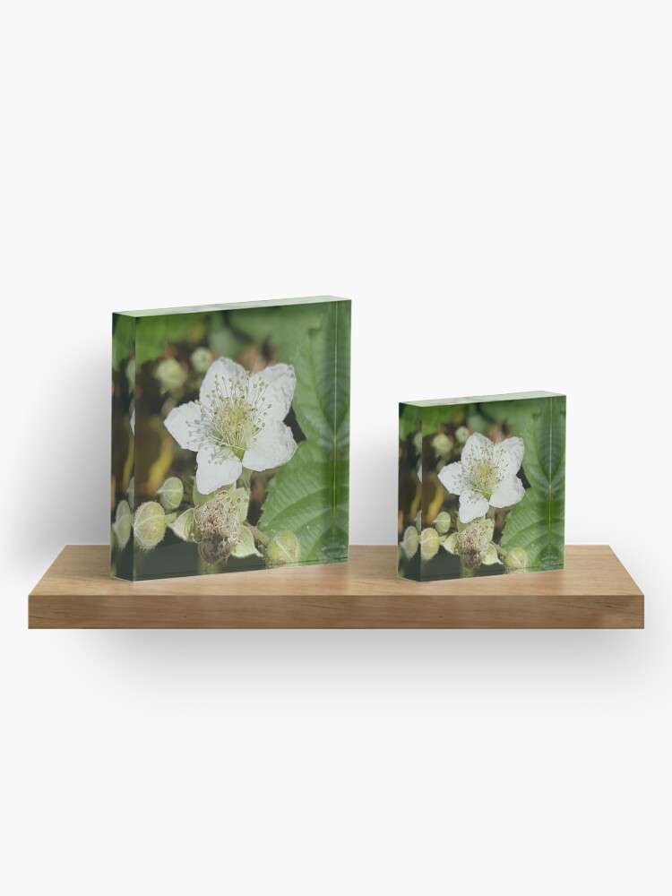 Alternate view of Bramble Blossom Acrylic Block