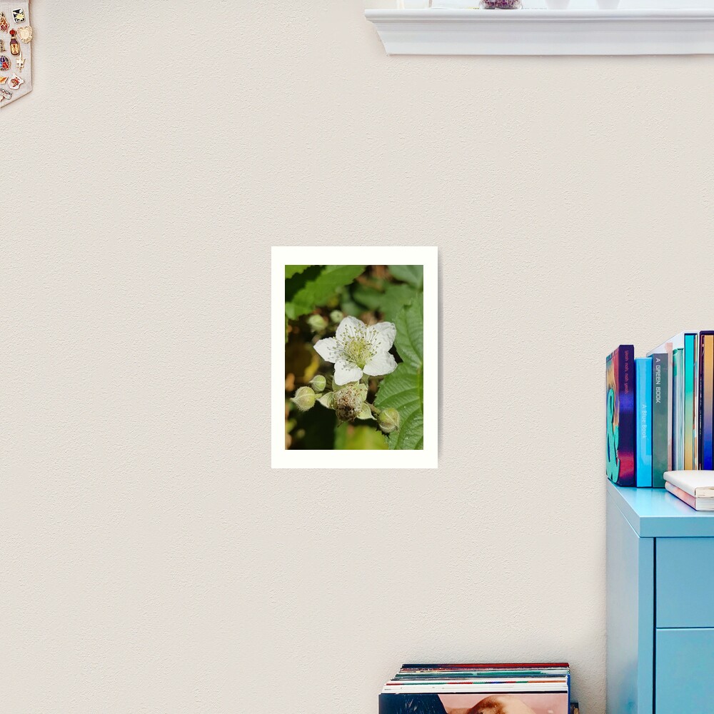 Bramble Blossom Art Print