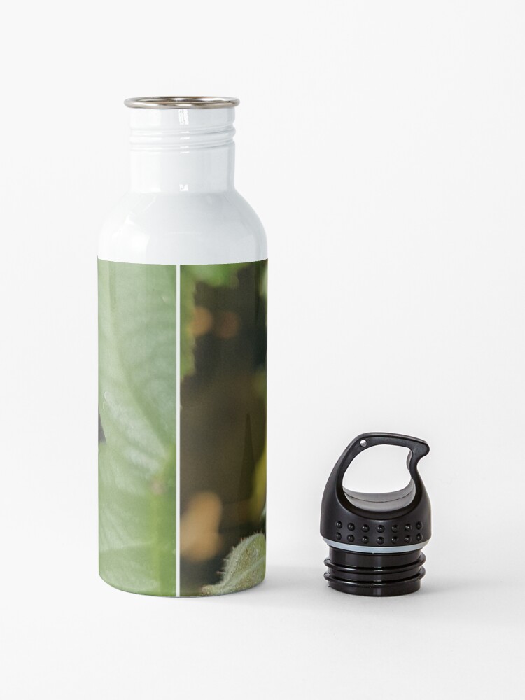 Alternate view of Bramble Blossom Water Bottle