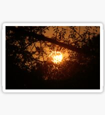 Sun Sticker