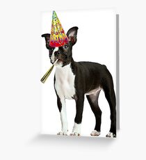 Boston Terrier Birthday Greeting Card