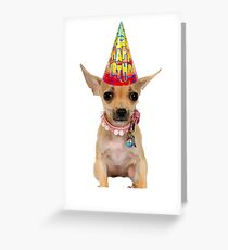 Chihuahua Birthday Greeting Card
