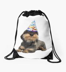 Wirehaired Dachshund Party Drawstring Bag