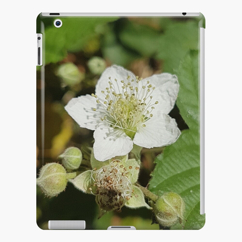 Bramble Blossom iPad Case & Skin