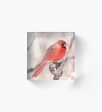 See'ng Red Acrylic Block
