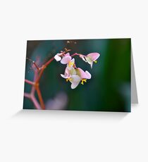 Delicate but Strong Greeting Card