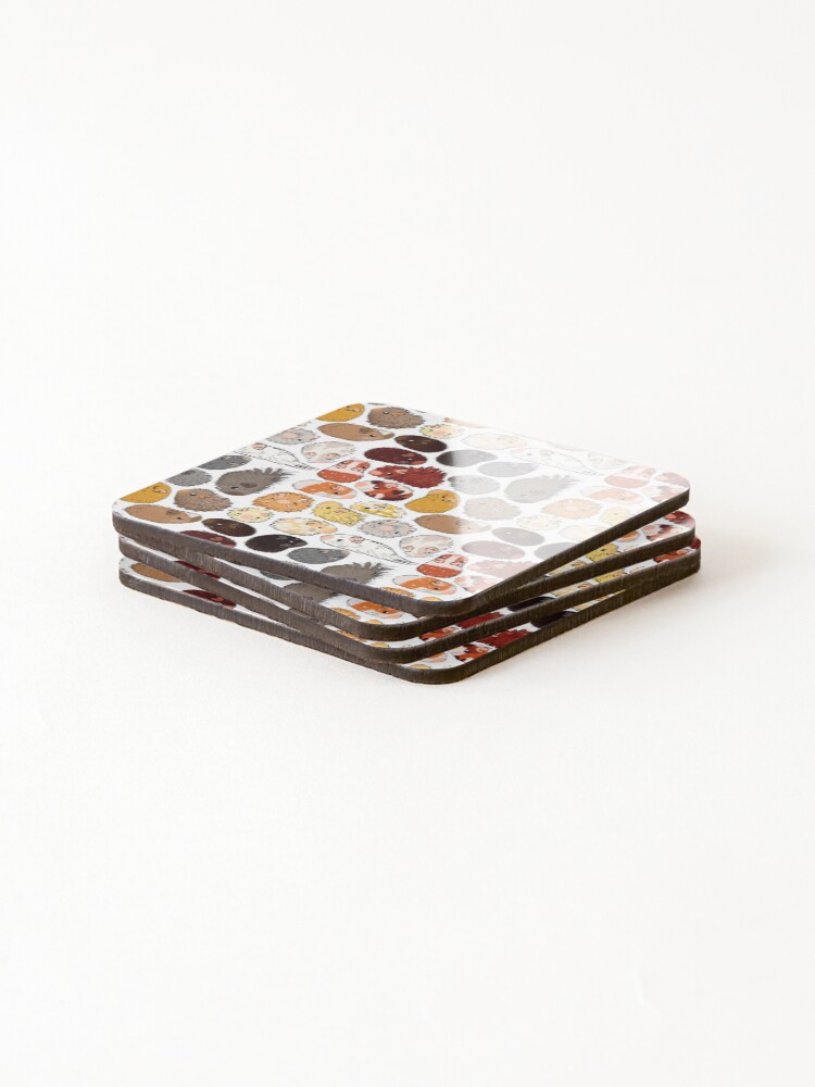 Alternate view of Guinea Pig Gradient Coasters (Set of 4)
