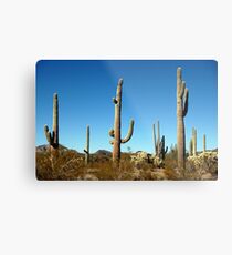 Mighty Saguaro Metal Print