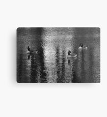 Geese at Lake Metal Print