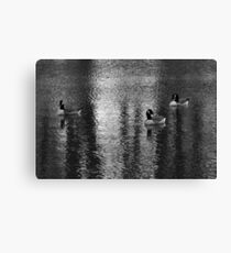 Geese at Lake Canvas Print