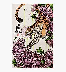 Tiger Photographic Print