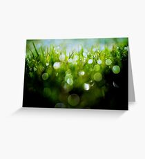 Meadow Lights. Greeting Card