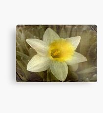 A Melody of Spring!!! © Metal Print