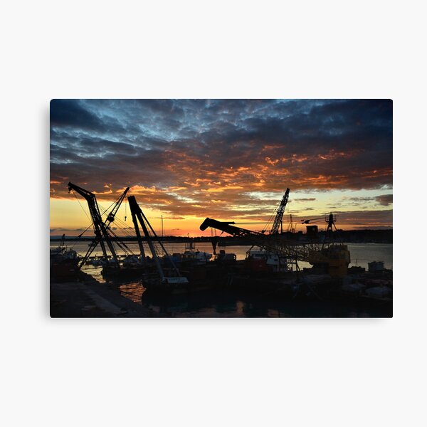 Gru al porto Canvas Print