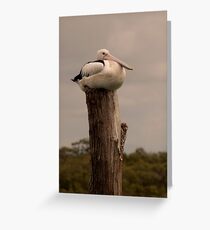 Pelican Rest Greeting Card