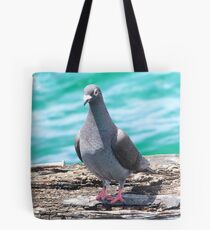 Jetty pidgeon Tote Bag