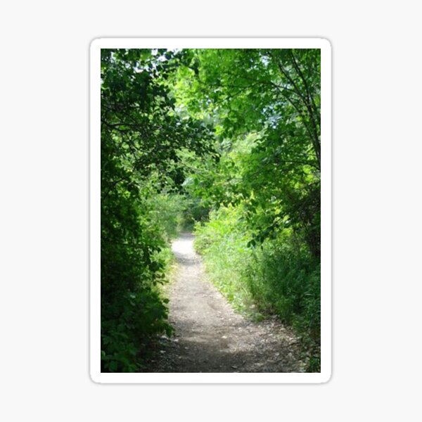 The Path Sticker