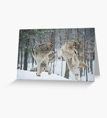 Dances With Wolves Greeting Card