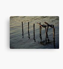 decayed Canvas Print