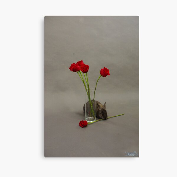 Hoppy Valentine's Day 1 Canvas Print
