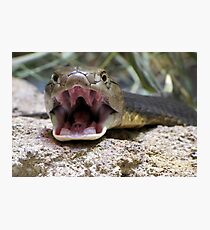 Come Closer. I Dare You. Photographic Print