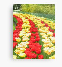 Netherlands Flowers Metal Print