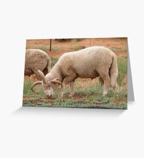 Three horned Sheep Greeting Card