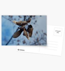 papery Postcards