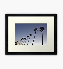 evolution Framed Print