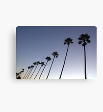 evolution Canvas Print