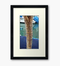 Talking Italian Framed Print