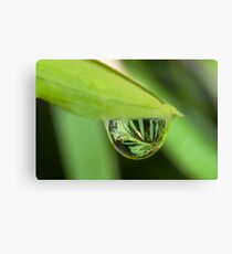 Water Droplet Canvas Print