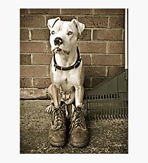 I'm A Working Dog Through N Through Photographic Print
