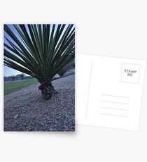 Outreach Postcards