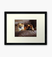 The Parents Framed Print