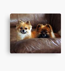 The Parents Canvas Print