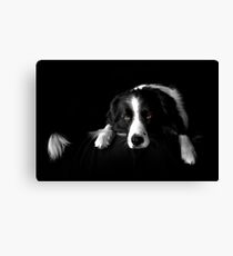 Yogi Bear Canvas Print