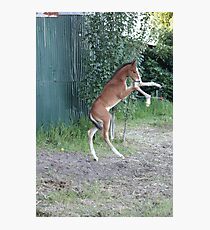 Entertaining himself Photographic Print