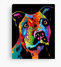 Staffordshire Bull Terrier Canvas Print