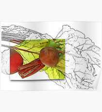 Beetroot Poster