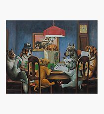 Dogs Playing D&D Photographic Print