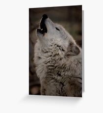 howling wolf Greeting Card