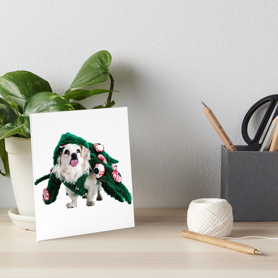 Happy Halloween - Hund "Dio" im Halloween-Kostüm - Glaube und Wahrheit Galeriedruck