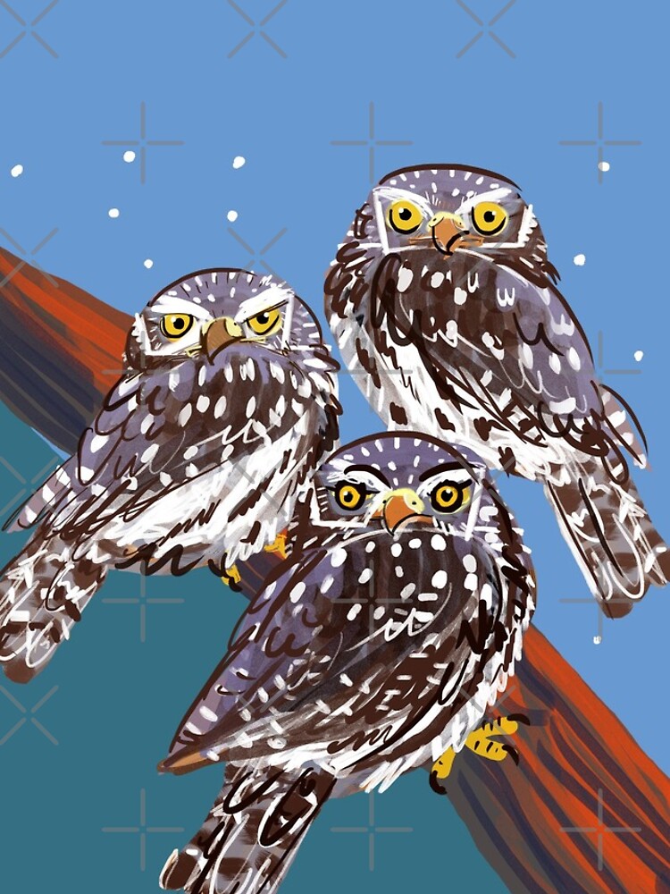 Northern Pygmy owl de belettelepink