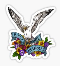 Birds are Assholes Sticker