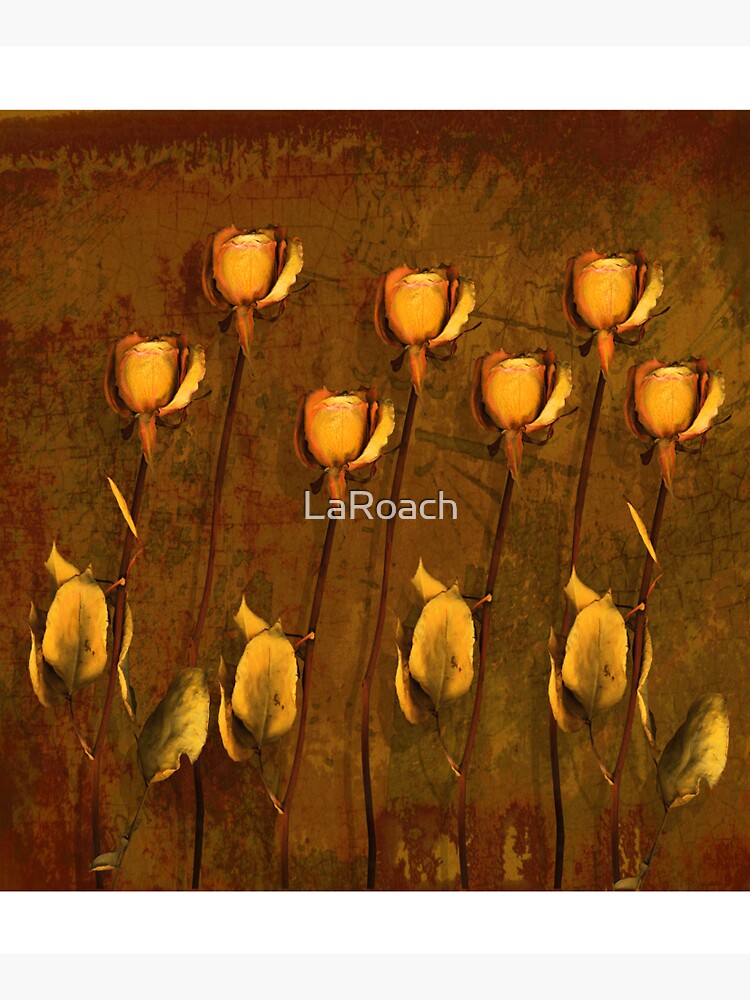 Rose Memories by LaRoach