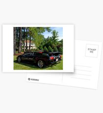 Passive Bull Postcards