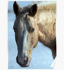 Blond Beauty Poster