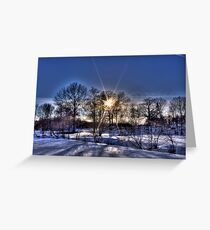 Tree Silhouette Greeting Card